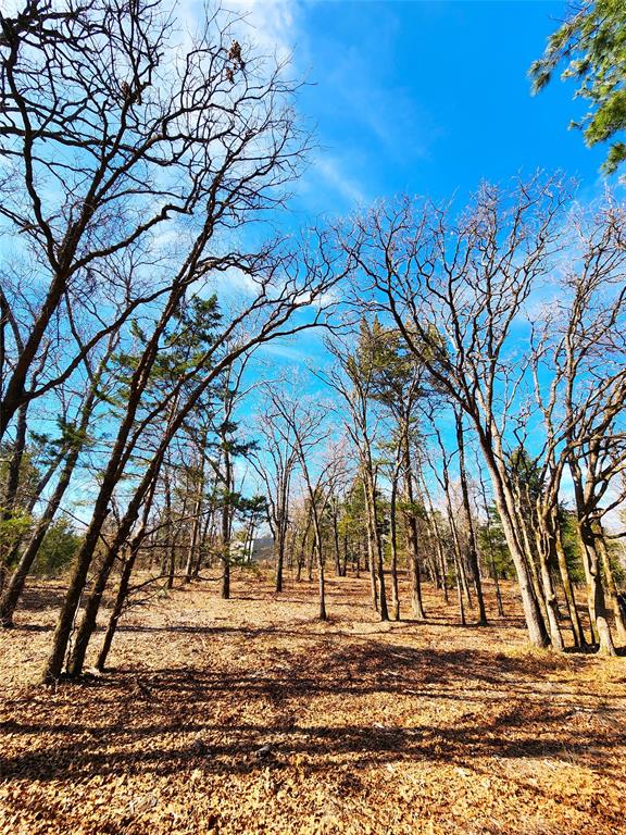 Safari Waters Ranch - Land