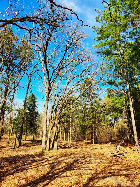 Safari Waters Ranch - Land