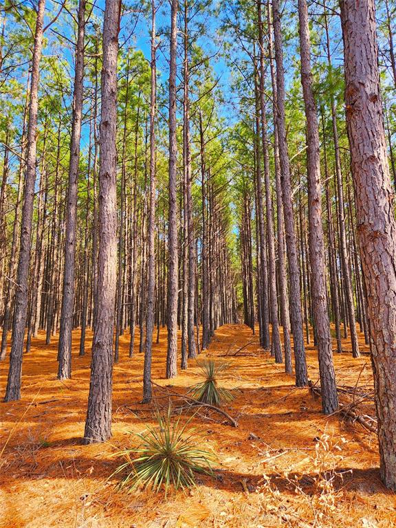 Safari Waters Ranch - Land