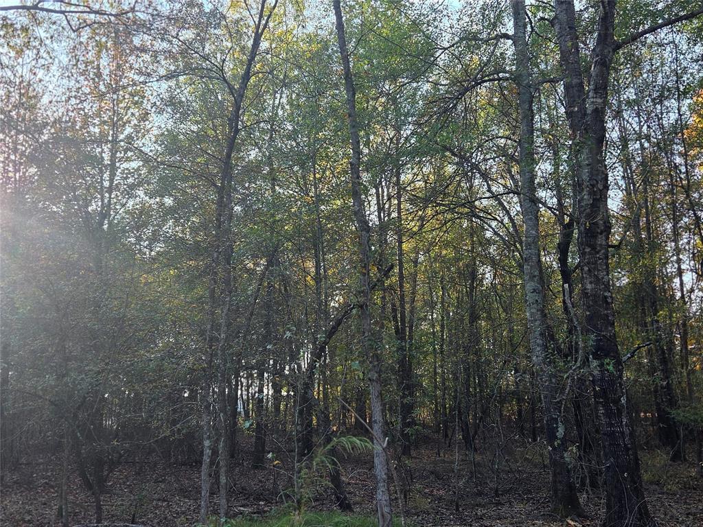 Joshua Bowerman Hr Surv Abs #5 - Land