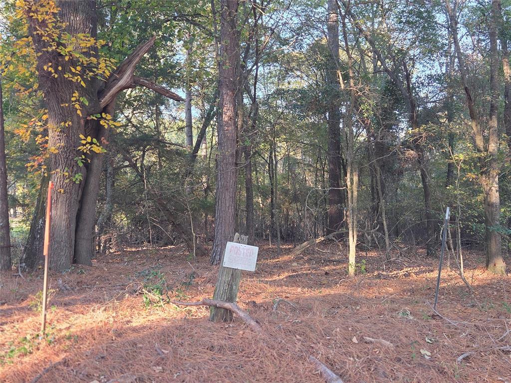 Joshua Bowerman Hr Surv Abs #5 - Land