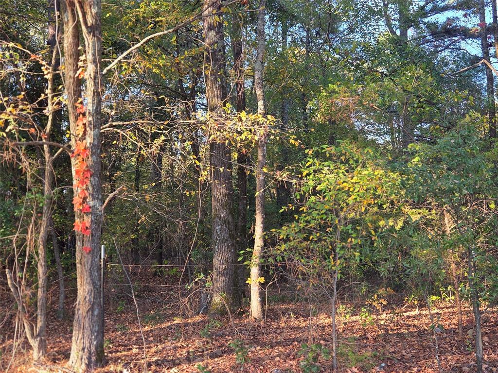 Joshua Bowerman Hr Surv Abs #5 - Land