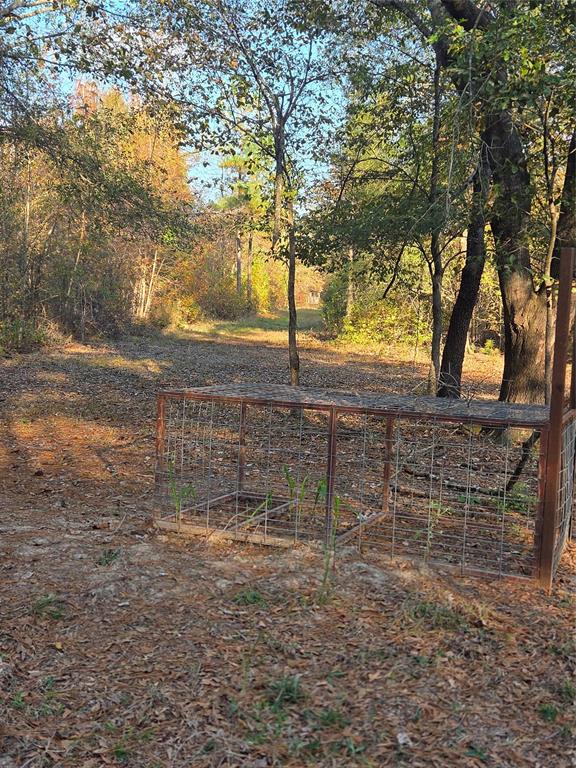 Joshua Bowerman Hr Surv Abs #5 - Land