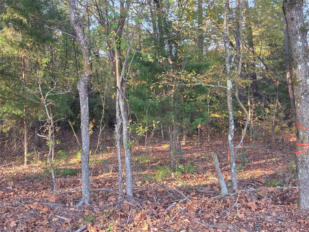 Joshua Bowerman Hr Surv Abs #5 - Land