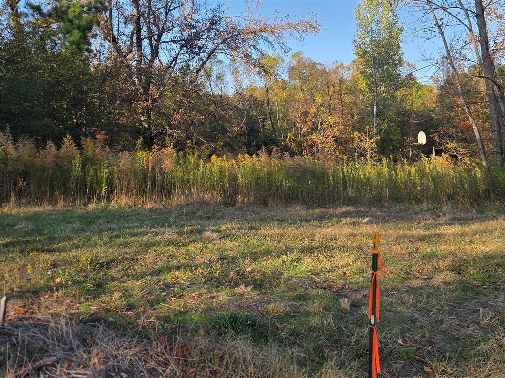 Joshua Bowerman Hr Surv Abs #5 - Land