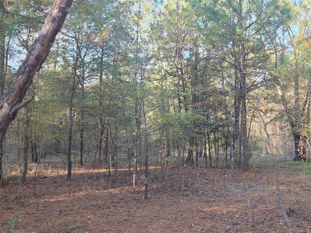 Joshua Bowerman Hr Surv Abs #5 - Land