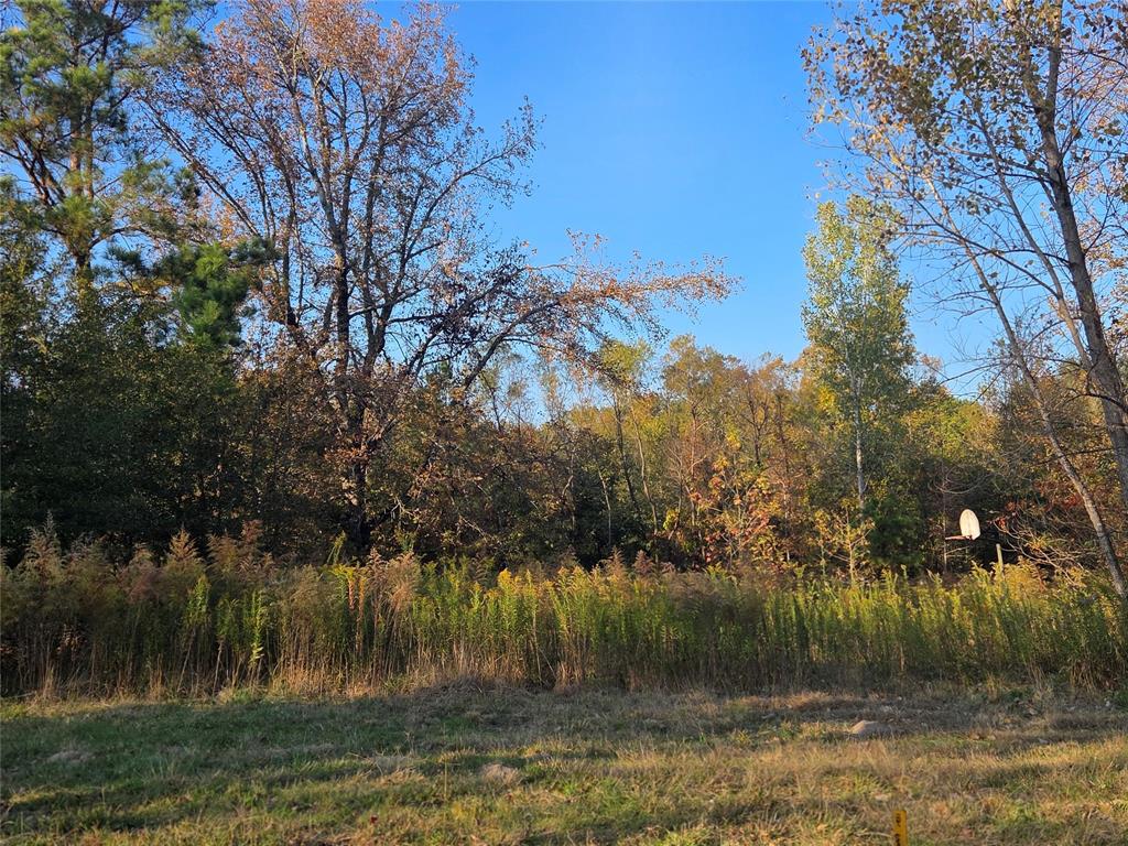 Joshua Bowerman Hr Surv Abs #5 - Land