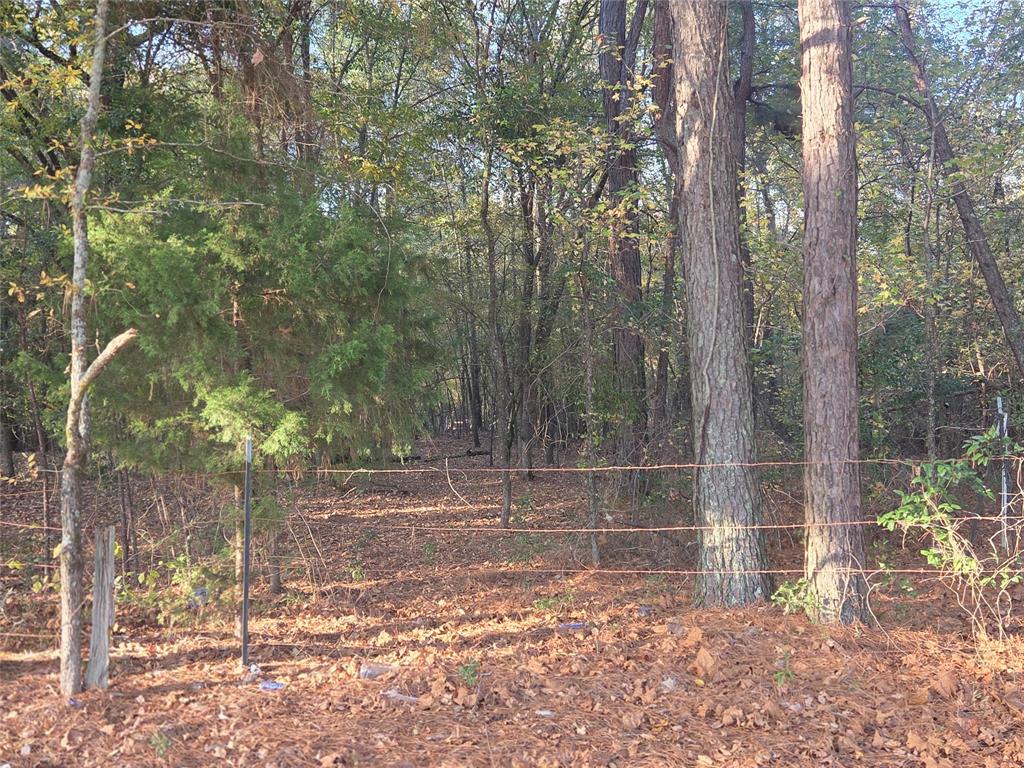 Joshua Bowerman Hr Surv Abs #5 - Land