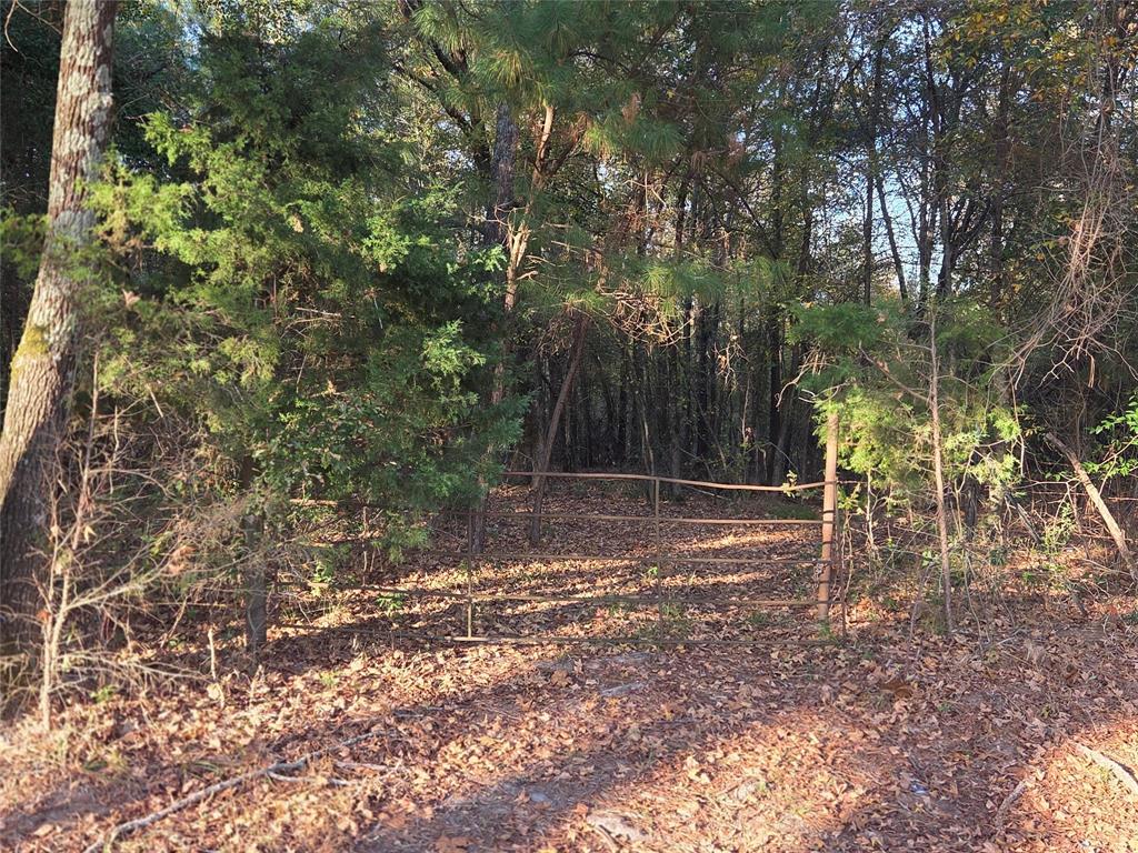 Joshua Bowerman Hr Surv Abs #5 - Land