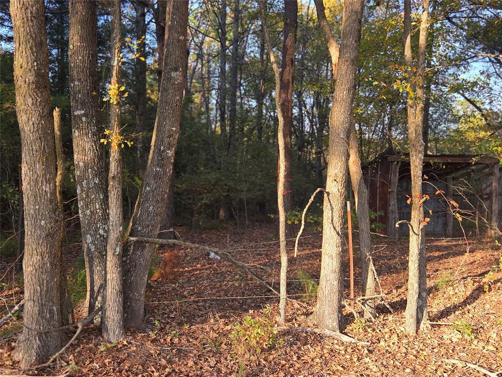 Joshua Bowerman Hr Surv Abs #5 - Land