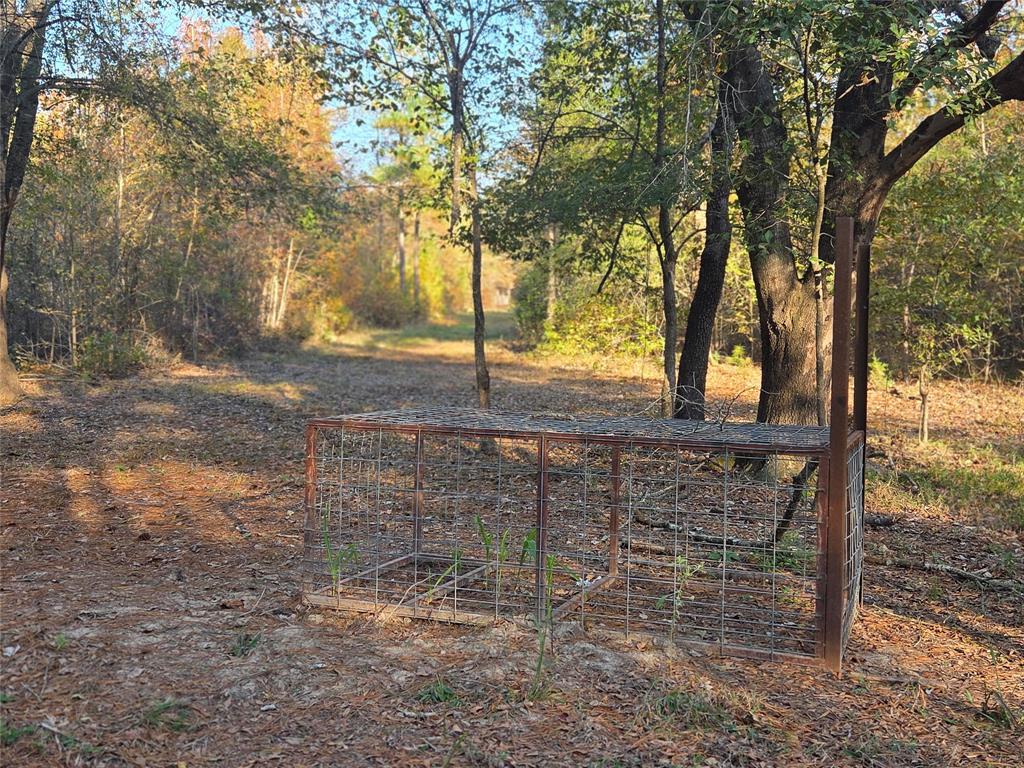 Joshua Bowerman Hr Surv Abs #5 - Land