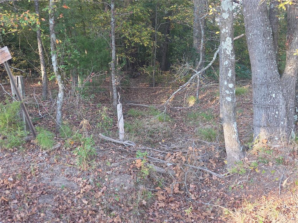 Joshua Bowerman Hr Surv Abs #5 - Land