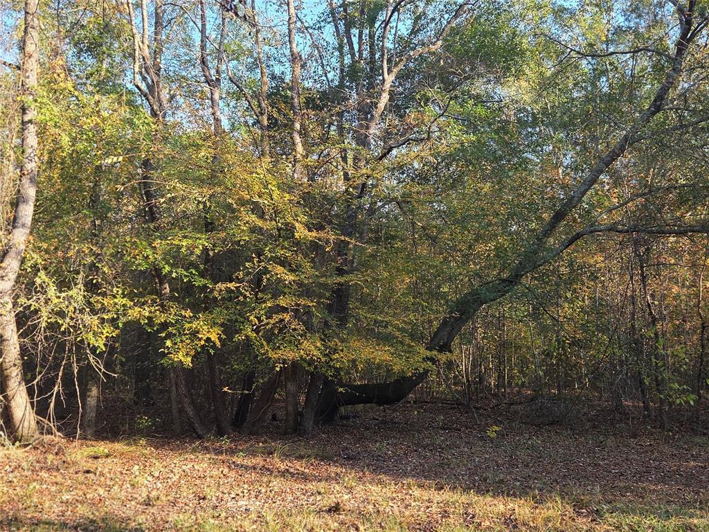 Joshua Bowerman Hr Surv Abs #5 - Land