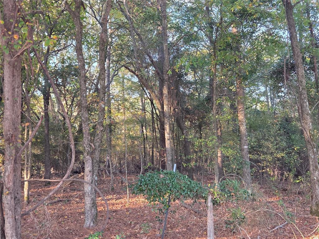 Joshua Bowerman Hr Surv Abs #5 - Land