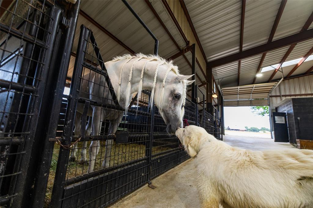 Horseshoe Nail Ranch - Farm
