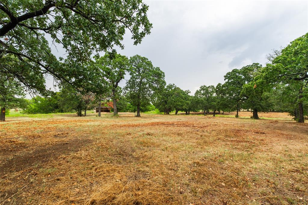 Horseshoe Nail Ranch - Farm