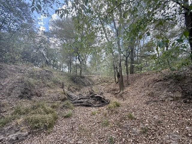 00 ANCHOR RANCH Loop