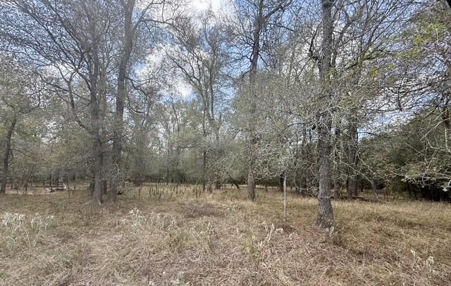 00 ANCHOR RANCH Loop