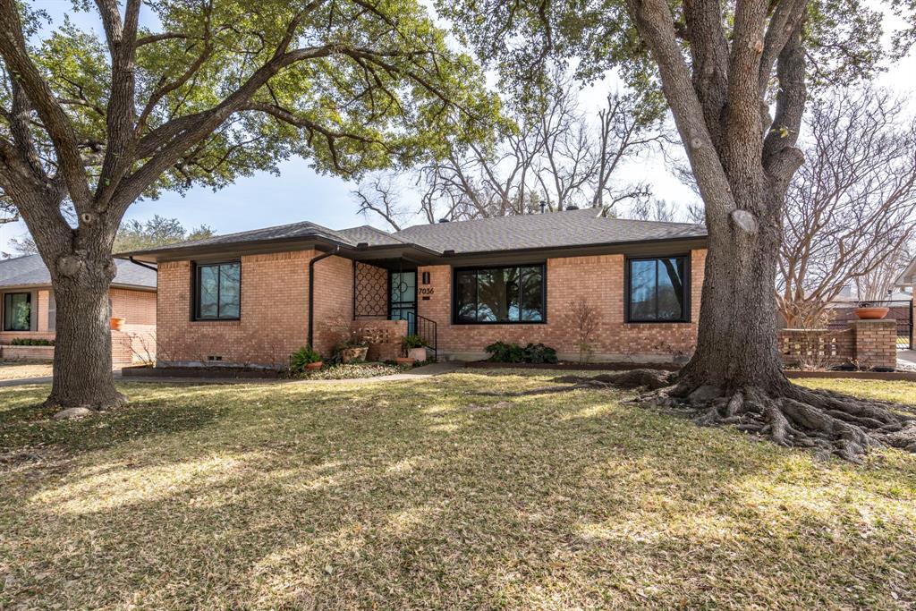 7036 Freemont Street