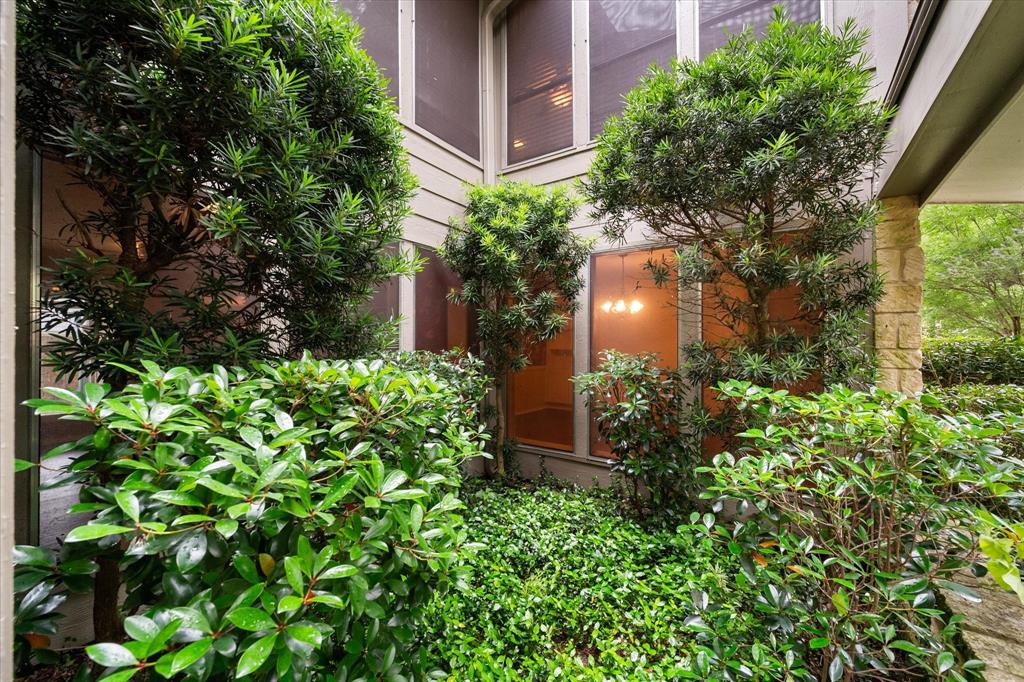 1235 Lexington Square