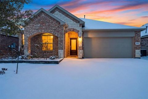 3313 Ringtail Lane McKinney TX 75071