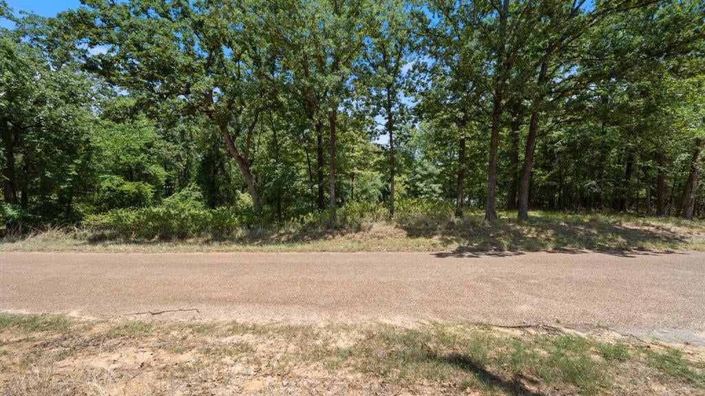 0 Hickory Street Lot 91 - Photo 3