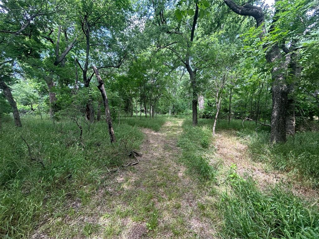 156 Private Road 4436