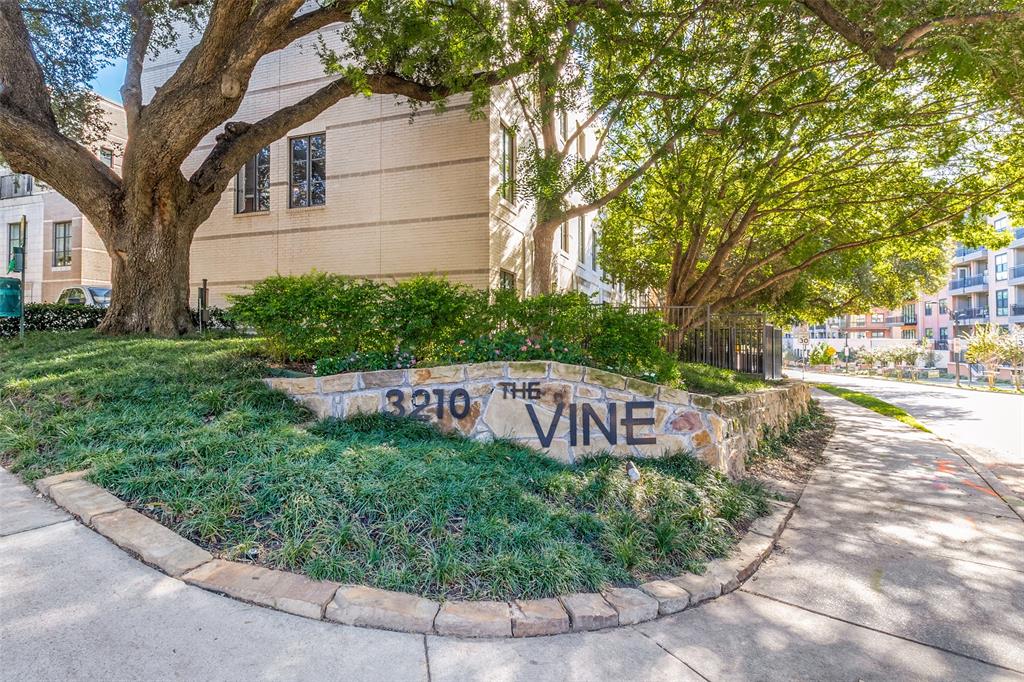Vine Condo - Residential