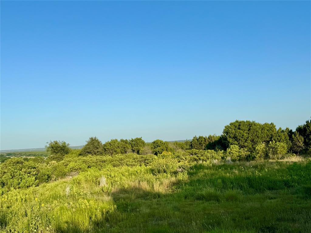 Forrest Hills - Land