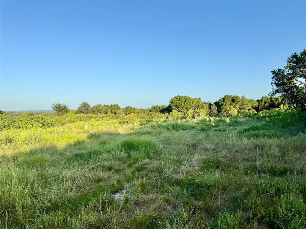 Forrest Hills - Land