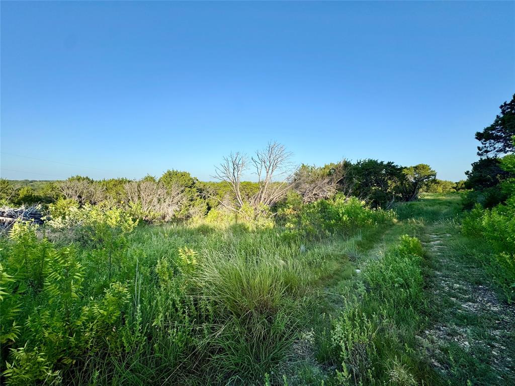 Forrest Hills - Land