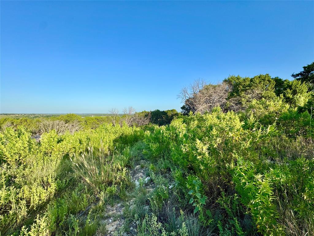 Forrest Hills - Land