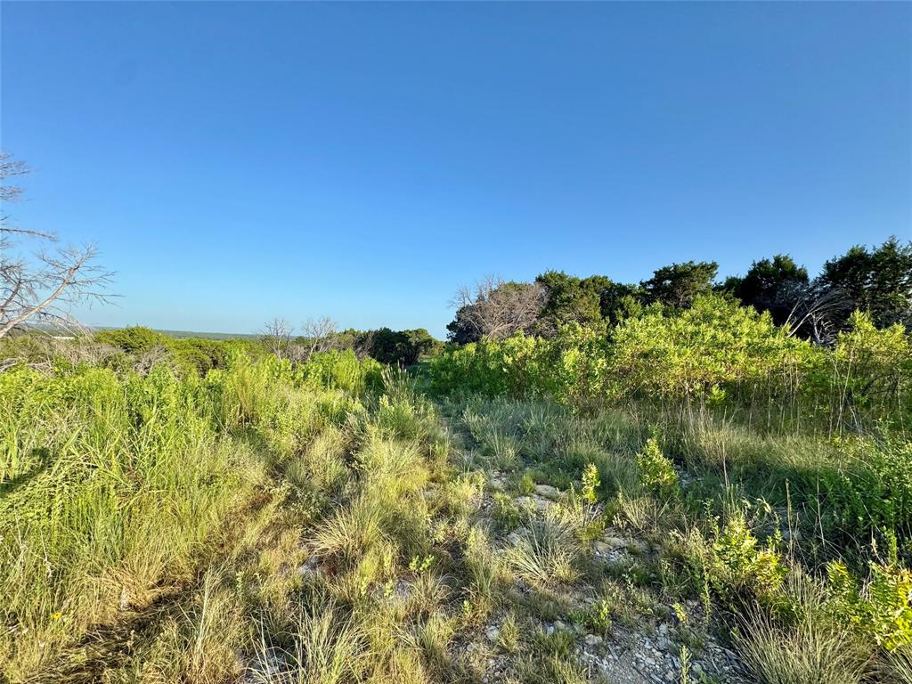 Forrest Hills - Land