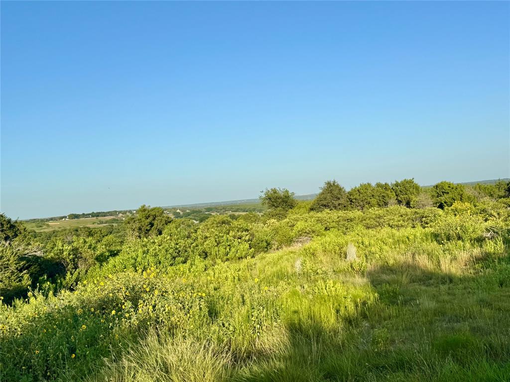 Forrest Hills - Land