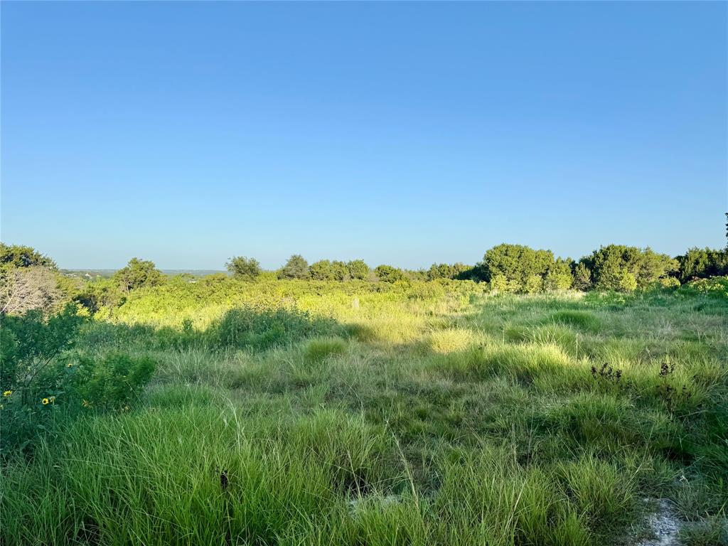 Forrest Hills - Land