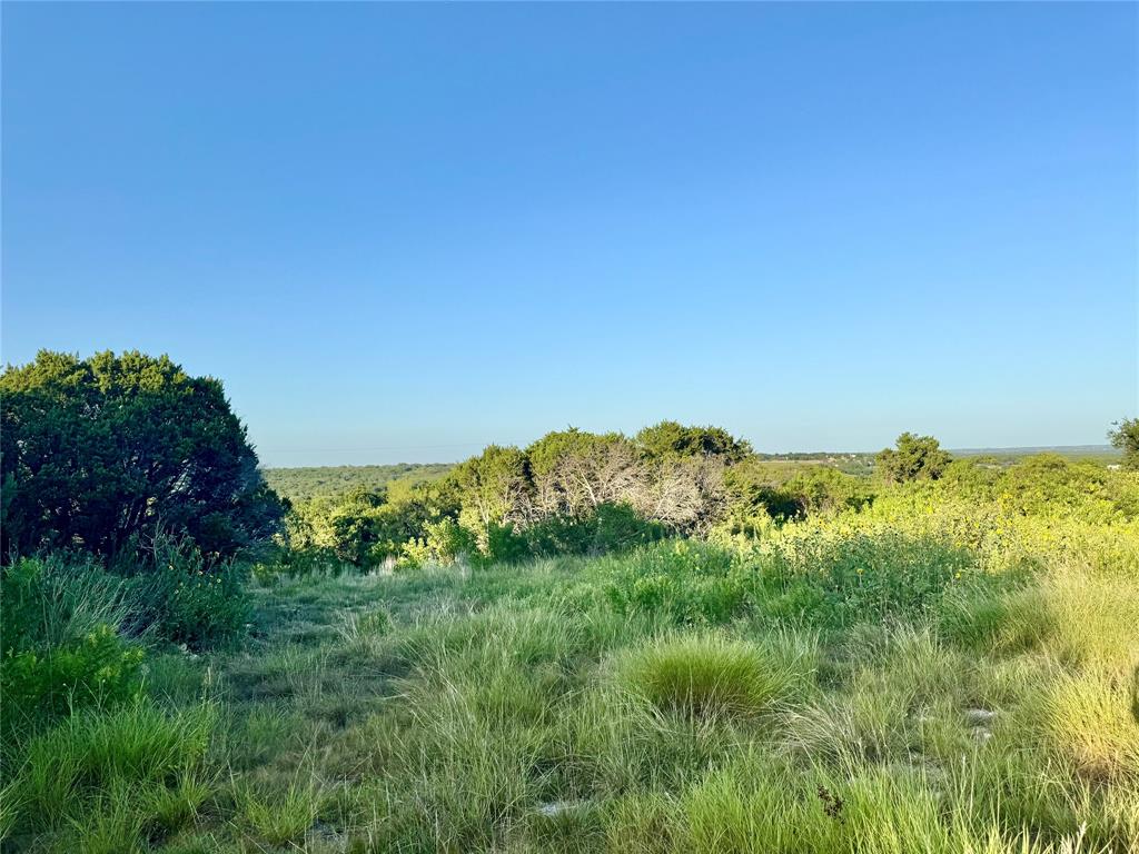 Forrest Hills - Land