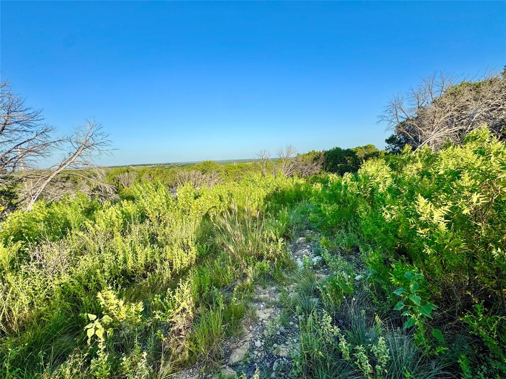 Forrest Hills - Land