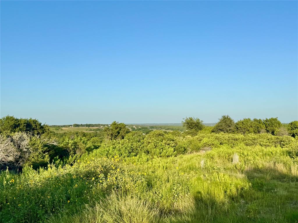 Forrest Hills - Land