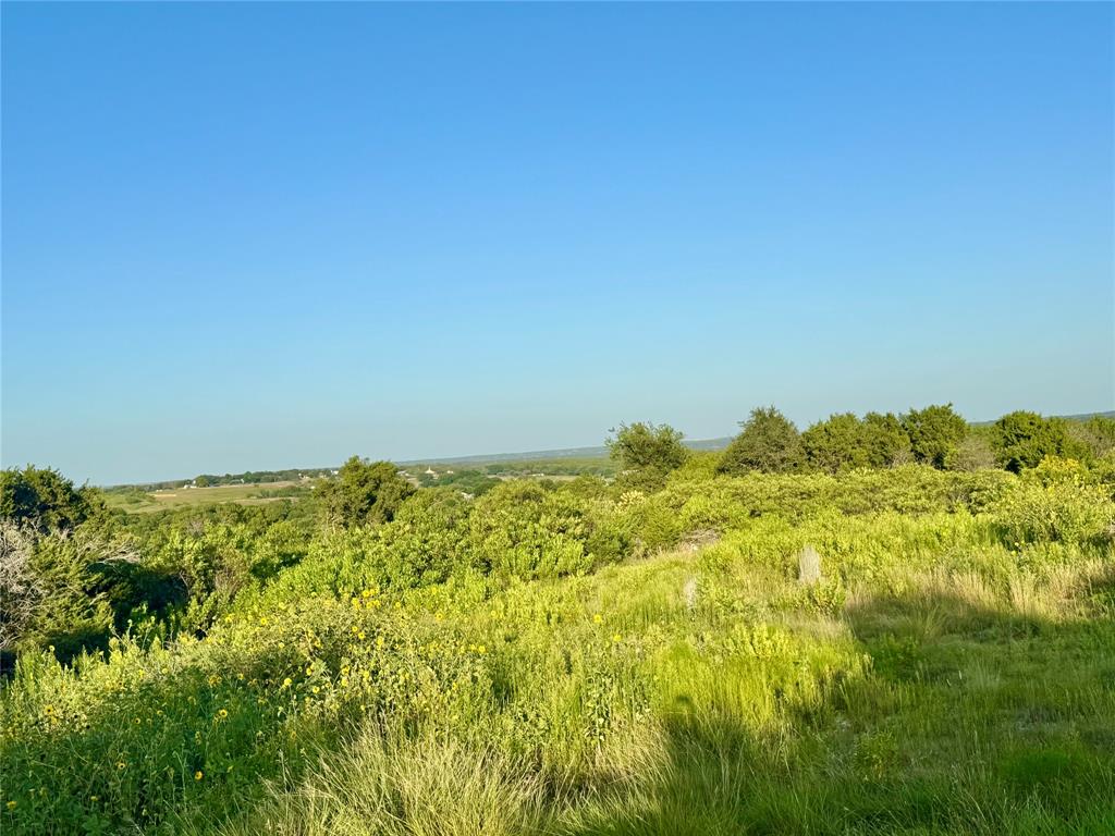 Forrest Hills - Land