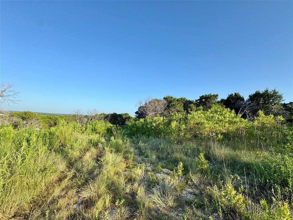 Forrest Hills - Land