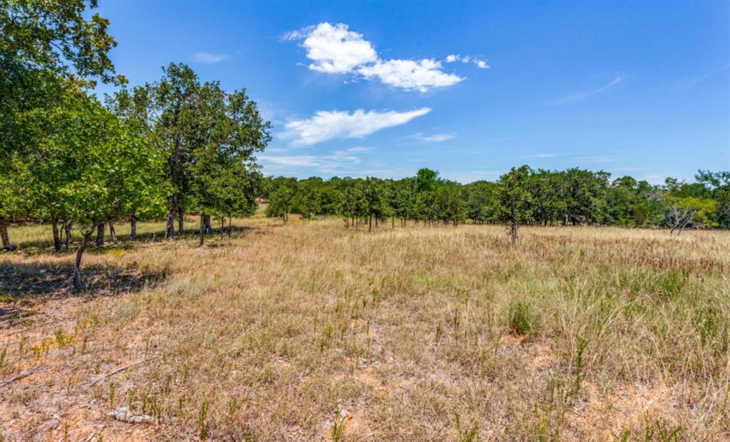 Sugartree On The Brazos - Land