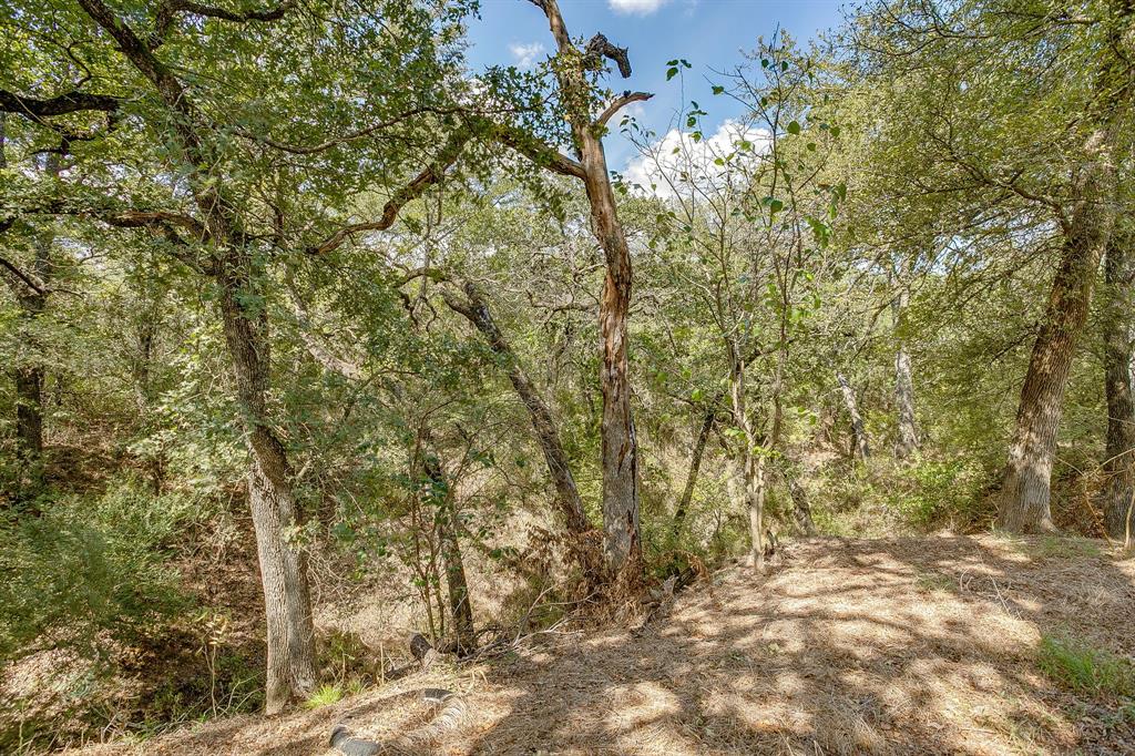 Ag Mcgowan Surv Abs #-1090 - Residential