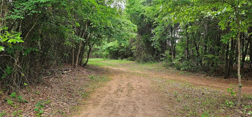 Stop scrolling—this is the East Texas land you’ve been waiting on. 22.5 acres of mature woods in Ben Wheeler, packed with oaks, pines, and native cover that deer and hogs love. Ground is fairly level. Plenty of tree cover. Serious seclusion make this place a hunter’s dream—quiet, undisturbed, and ready to hunt. Right in the middle of it all sits a perfect clearing, ready for your hunting cabin or future home—no guesswork, just bring your plans. Utilities are available at the road, so you can set up camp now and build later. Located in sought-after Van ISD, this property gives you options: hunt it, escape to it, or build on it. Tracts like this—with privacy, wildlife, and a ready-to-go homesite—don’t come around often. Conveniently located off of TX 64, you'll have Tyler just East of you and Ben Wheeler, Edom, and Canton to the West of you.