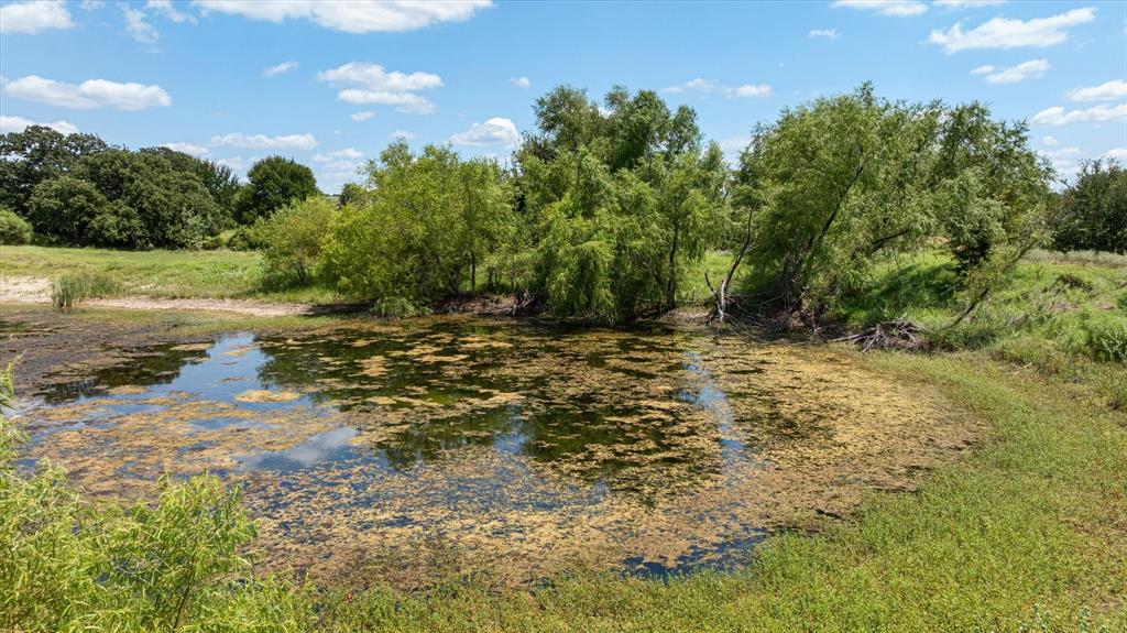 Sanctuary Oaks - Land