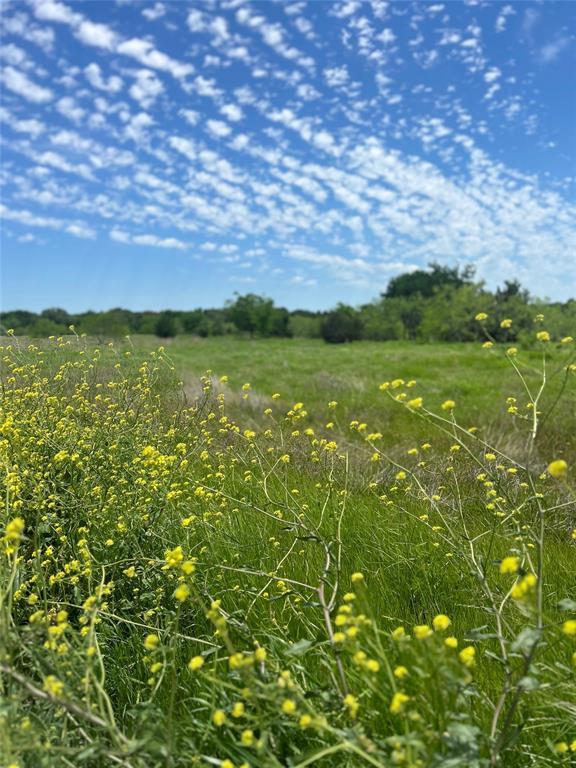 The Ranches at Rock Creek - Land