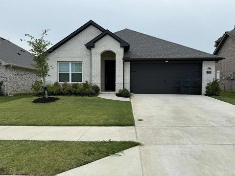 Property photo of 213 Portina Drive, Anna, TX 75409