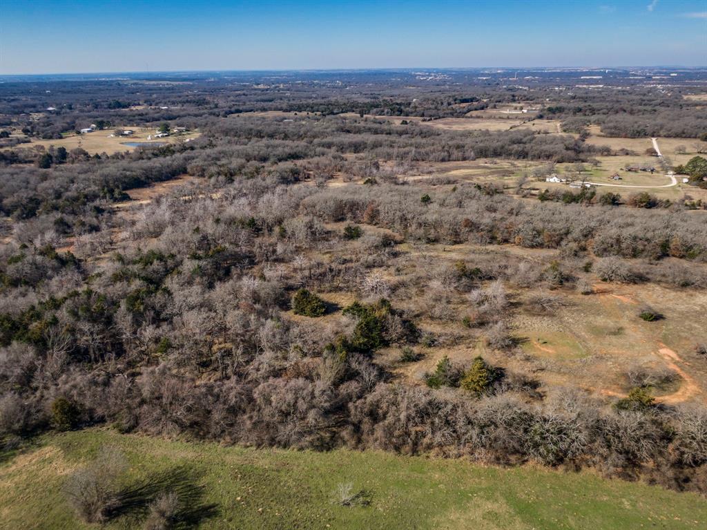 Thomas D Clark Surv Abs #172 - Residential