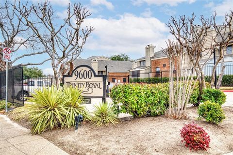 9600 Royal Lane 716 Dallas TX 75243