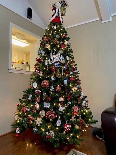 519 Rock Hollow Drive