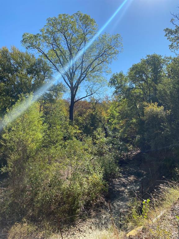 SE Cooke County Rural - Land
